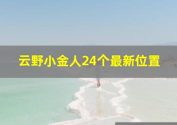 云野小金人24个最新位置