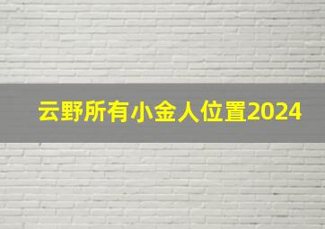 云野所有小金人位置2024