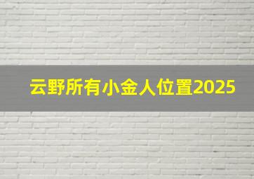 云野所有小金人位置2025