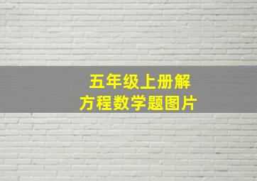 五年级上册解方程数学题图片