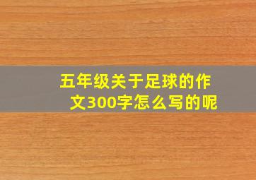 五年级关于足球的作文300字怎么写的呢