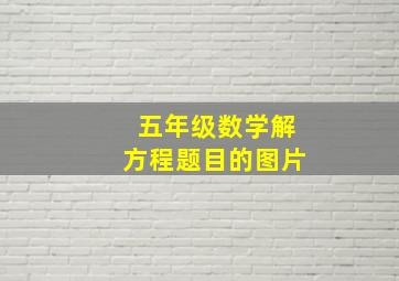 五年级数学解方程题目的图片