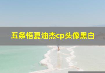 五条悟夏油杰cp头像黑白