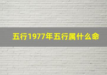 五行1977年五行属什么命