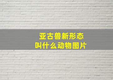 亚古兽新形态叫什么动物图片