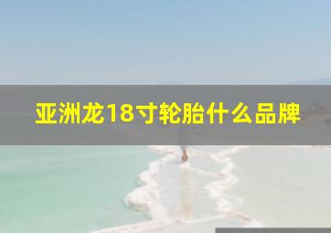 亚洲龙18寸轮胎什么品牌