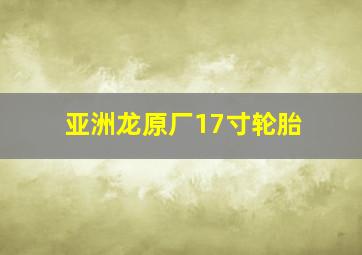 亚洲龙原厂17寸轮胎