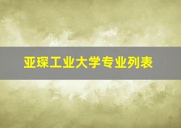 亚琛工业大学专业列表