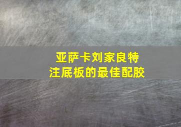 亚萨卡刘家良特注底板的最佳配胶