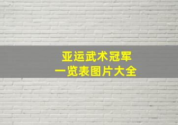 亚运武术冠军一览表图片大全