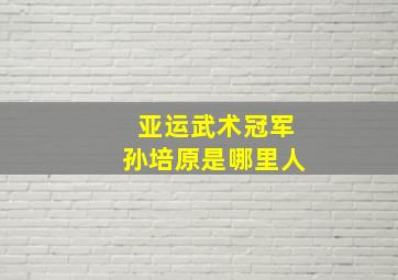 亚运武术冠军孙培原是哪里人