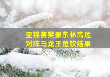 亚锦赛樊振东林高远对阵马龙王楚钦结果