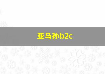 亚马孙b2c