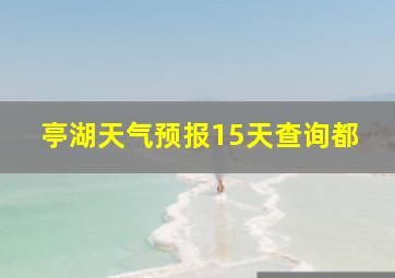 亭湖天气预报15天查询都