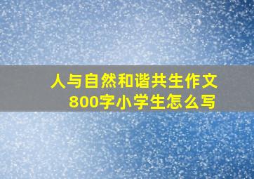 人与自然和谐共生作文800字小学生怎么写