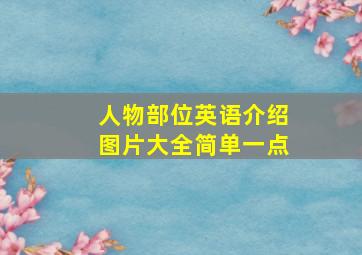 人物部位英语介绍图片大全简单一点