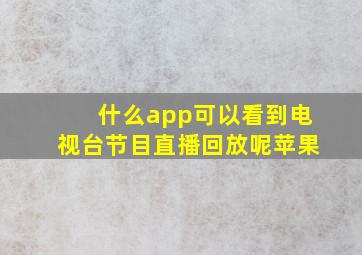 什么app可以看到电视台节目直播回放呢苹果