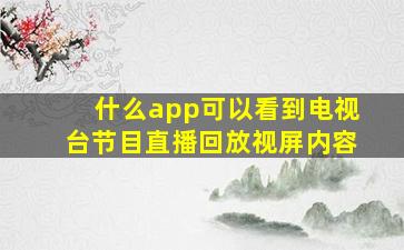 什么app可以看到电视台节目直播回放视屏内容