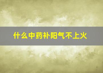 什么中药补阳气不上火