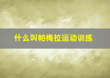 什么叫帕梅拉运动训练