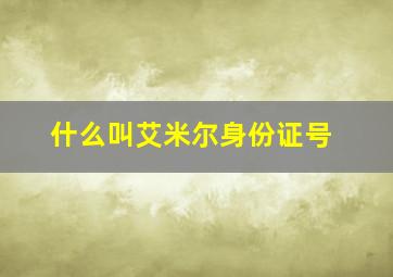 什么叫艾米尔身份证号