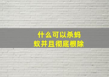 什么可以杀蚂蚁并且彻底根除