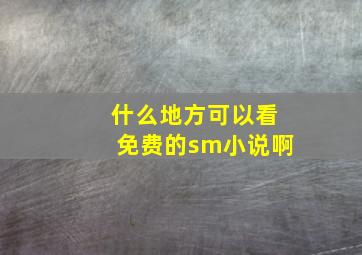 什么地方可以看免费的sm小说啊