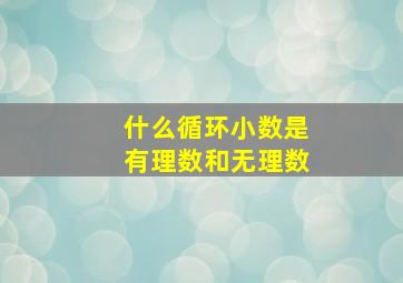 什么循环小数是有理数和无理数