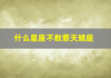 什么星座不敢惹天蝎座