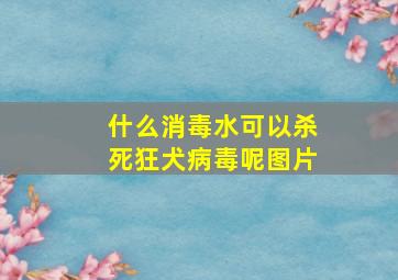 什么消毒水可以杀死狂犬病毒呢图片