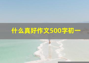 什么真好作文500字初一