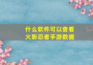 什么软件可以查看火影忍者手游数据