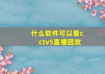 什么软件可以看cctv5直播回放