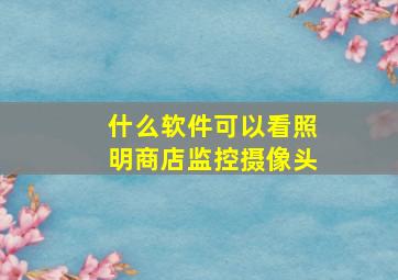 什么软件可以看照明商店监控摄像头