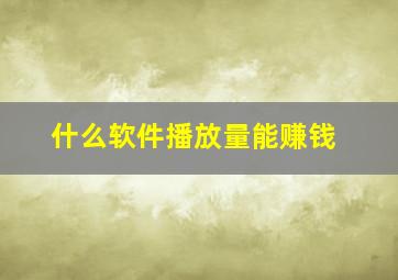 什么软件播放量能赚钱