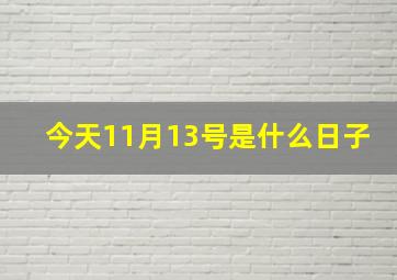 今天11月13号是什么日子