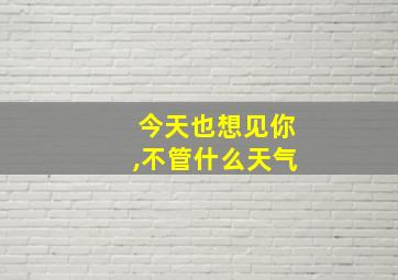 今天也想见你,不管什么天气