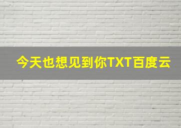 今天也想见到你TXT百度云