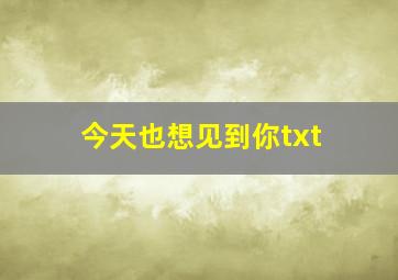 今天也想见到你txt