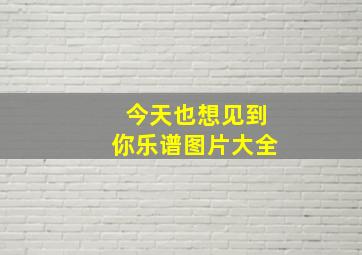 今天也想见到你乐谱图片大全