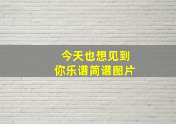 今天也想见到你乐谱简谱图片