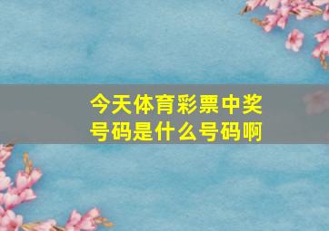 今天体育彩票中奖号码是什么号码啊