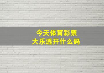 今天体育彩票大乐透开什么码