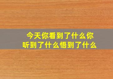 今天你看到了什么你听到了什么悟到了什么