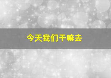 今天我们干嘛去