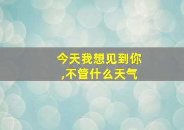 今天我想见到你,不管什么天气