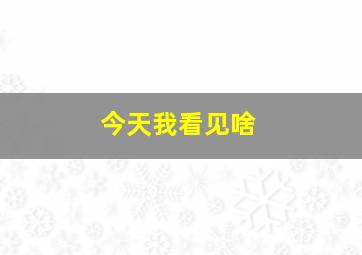 今天我看见啥