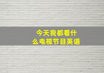 今天我都看什么电视节目英语