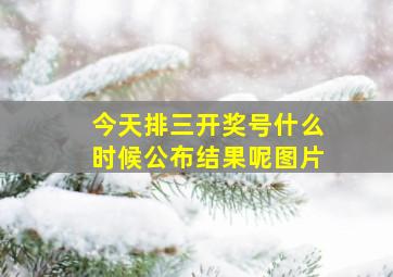 今天排三开奖号什么时候公布结果呢图片