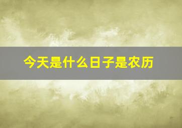 今天是什么日子是农历